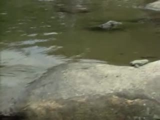 气质不~错眼镜少妇小奶子自摸秀 床上近距离特写揉搓逼逼毛毛挺多 呻吟娇喘喜欢不要错过